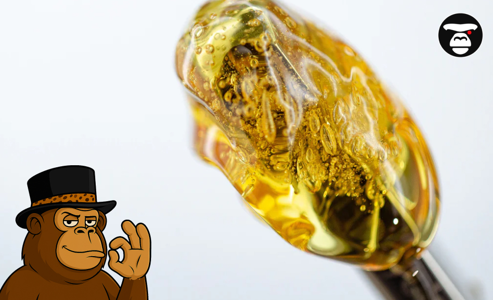 Distillate Weed: What is that? Macro shot of thick, bubbling golden cannabis resin on a dab tool.