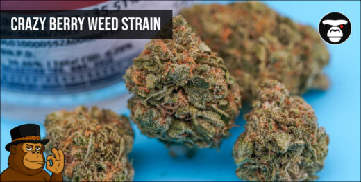 Crazy Berry Weed Strain