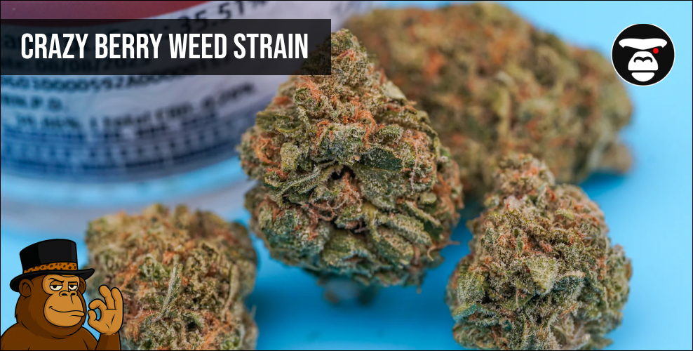 Crazy Berry Weed Strain