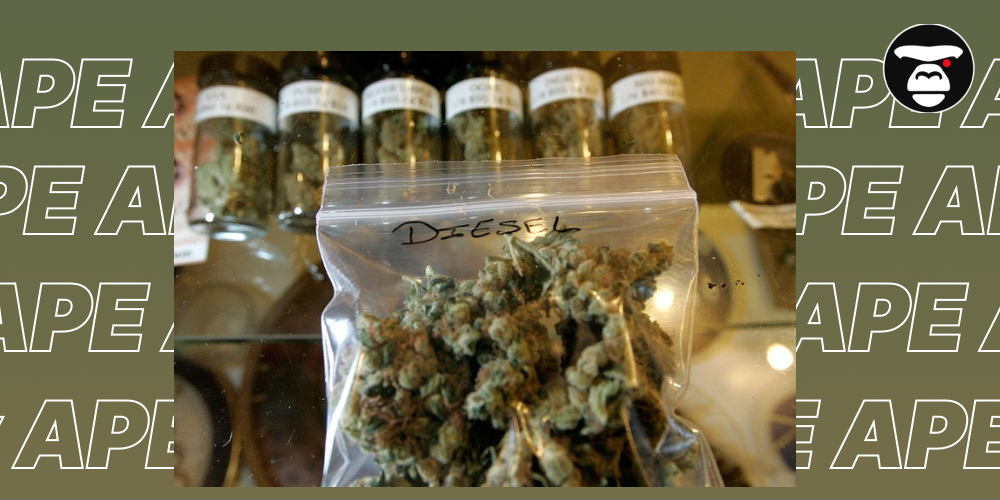 Weed Delivery & Dispensaries in San Bernardino Close-up of dried cannabis buds labeled "Diesel" in a clear ziploc bag, with jars of other strains in the background.
