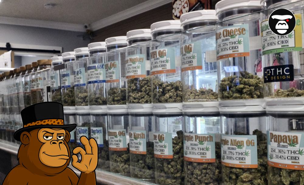 Weed Delivery & Dispensaries in San Bernardino A row of large glass jars displaying various labeled cannabis strains in a dispensary.