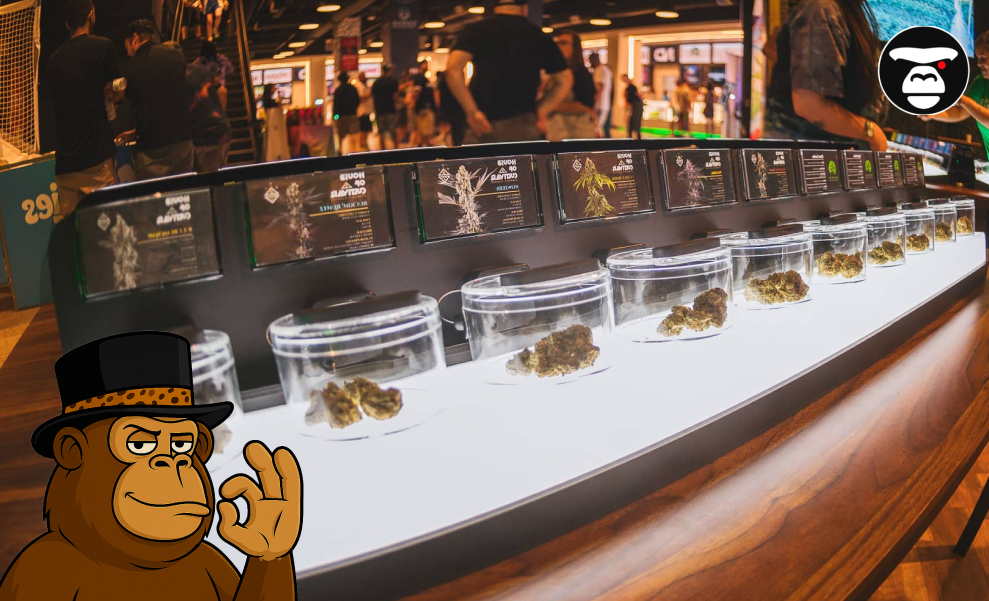 San Jose Weed Dispensaries San Jose Weed Dispensaries