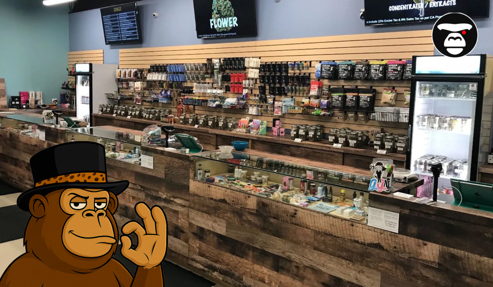 San Jose Weed Dispensaries Wide view of dispensary counter with various cannabis products, including flowers, concentrates, and edibles.
