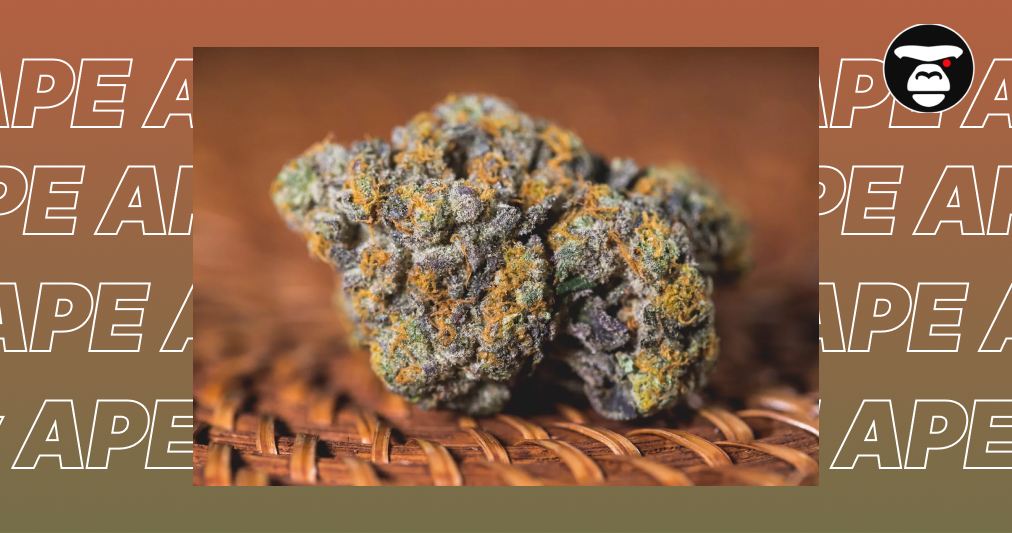 Strawberry Diesel Hybrid Weed Strain A single dense, purple and green cannabis bud on a woven wooden surface.