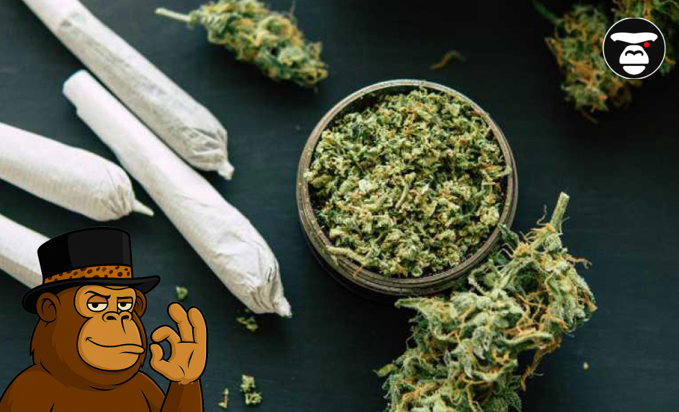 How to Combine Cannabis with Relaxation: Tips from Experienced Users Close-up of ground cannabis in a grinder, several pre-rolled joints, and dried buds on a dark surface.