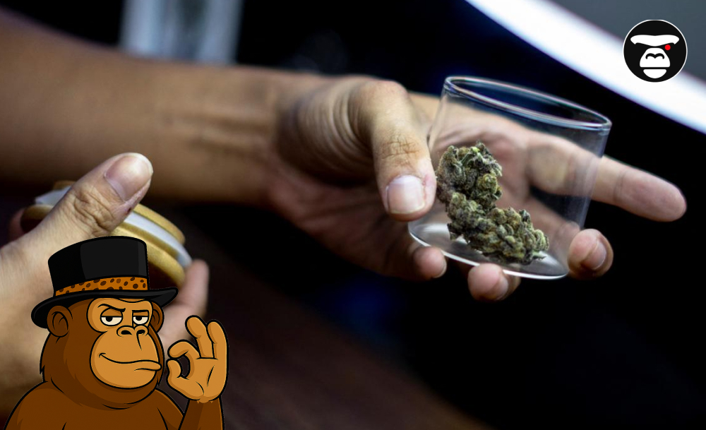 How to Combine Cannabis with Relaxation: Tips from Experienced Users How to Combine Cannabis with Relaxation