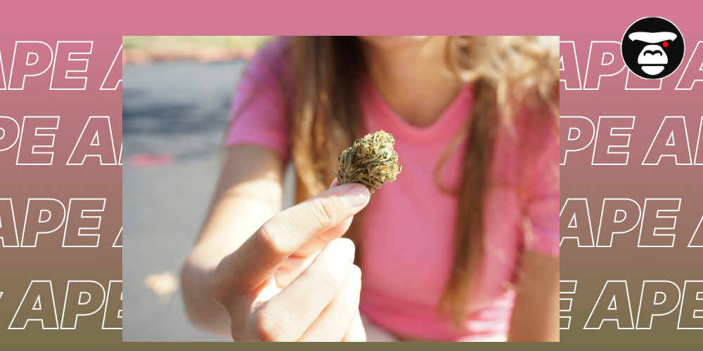 A hand holding a cannabis flower bud against a blurred background with "APE" watermark text.
