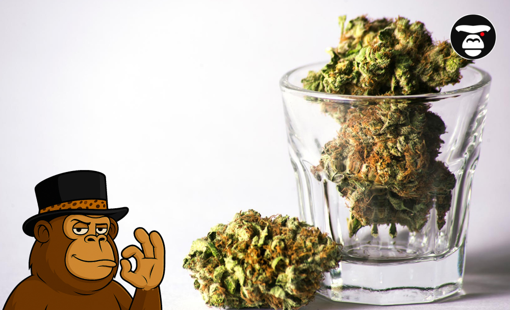 Top-shelf cannabis buds displayed in and next to a glass.