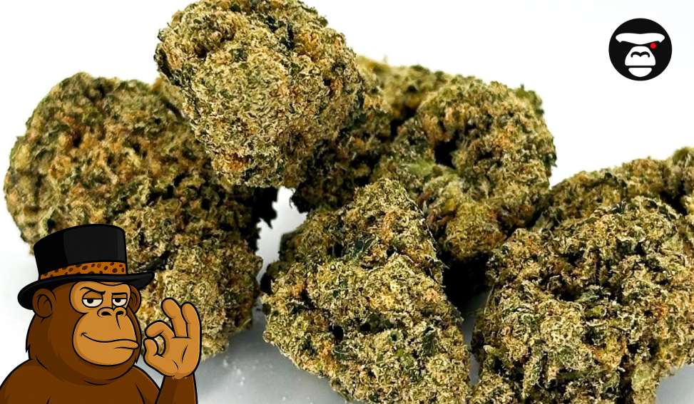 Several dense, light green cannabis flower nuggets on a white background.