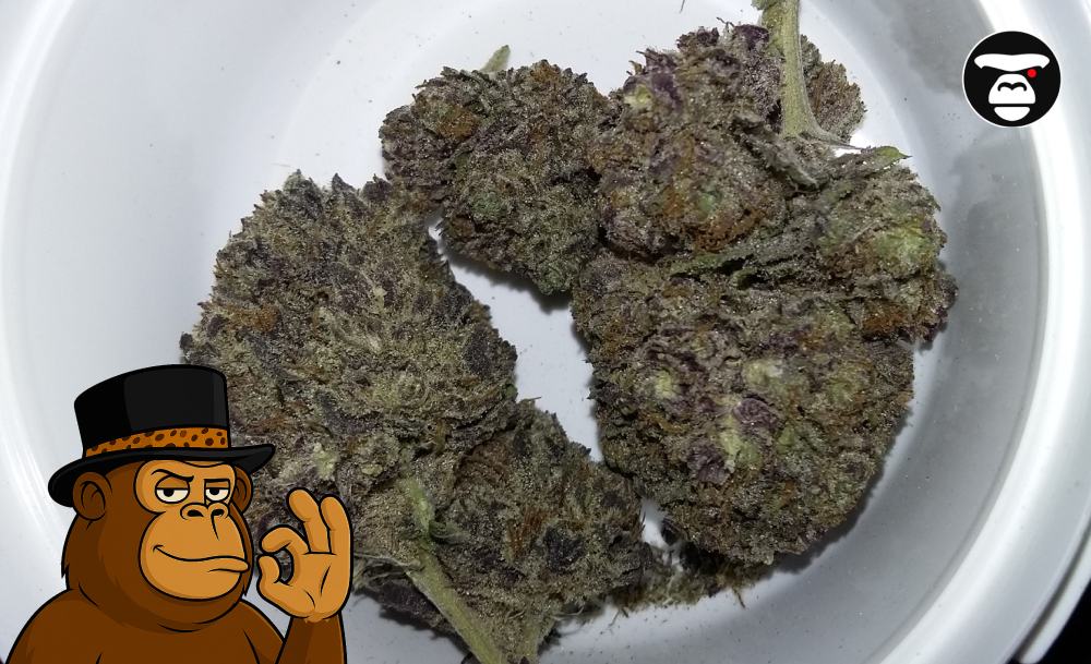 Strawberry Diesel Hybrid Weed Strain Strawberry Diesel Hybrid Weed Strain