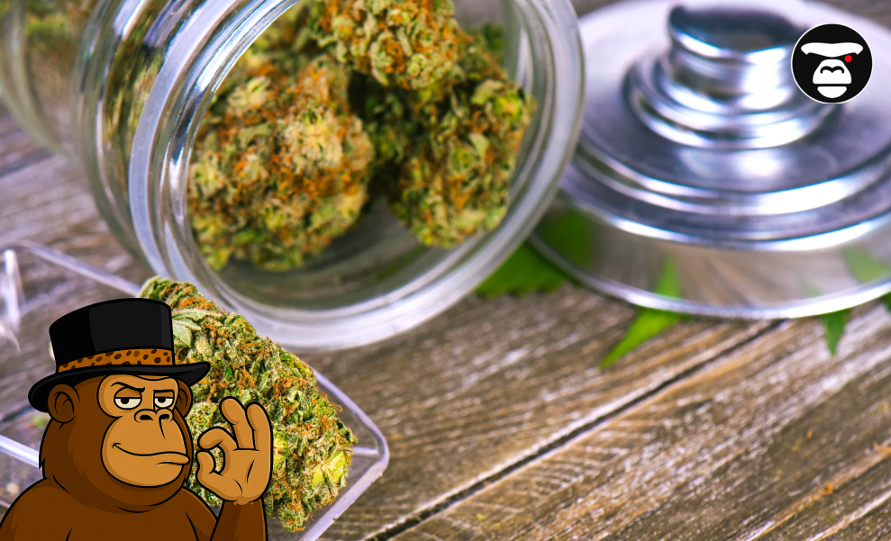 Rustic View of Cannabis Buds Spilling from Glass Jar