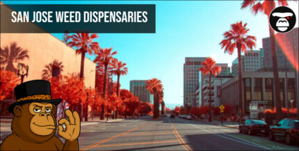 San Jose Weed Dispensaries