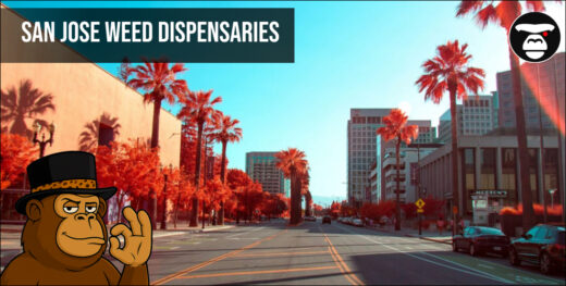 San Jose Weed Dispensaries