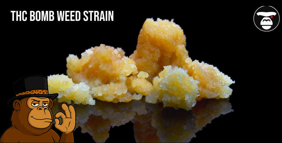 THC Bomb Weed strain
