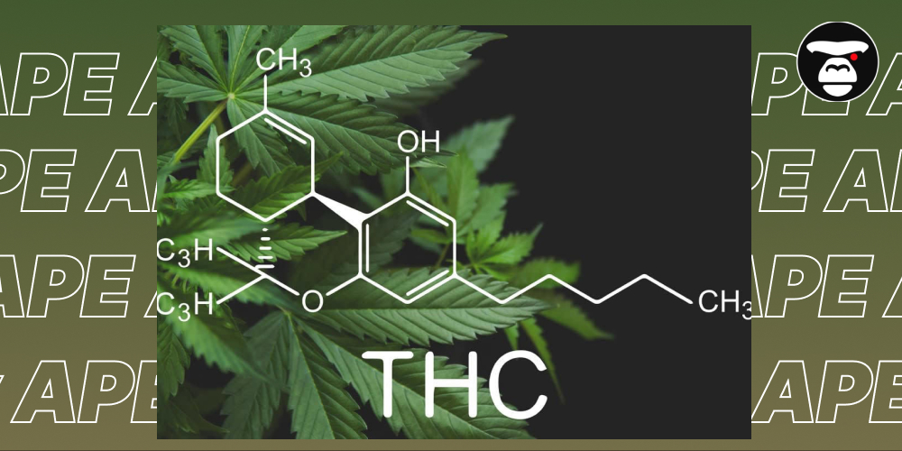 THC Bomb Weed strain