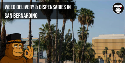 Weed Delivery & Dispensaries in San Bernardino