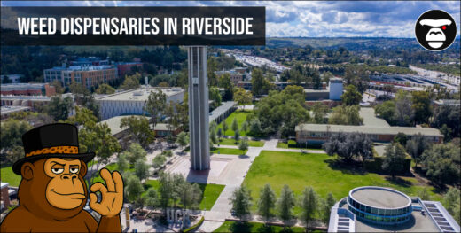 Weed Dispensaries in Riverside