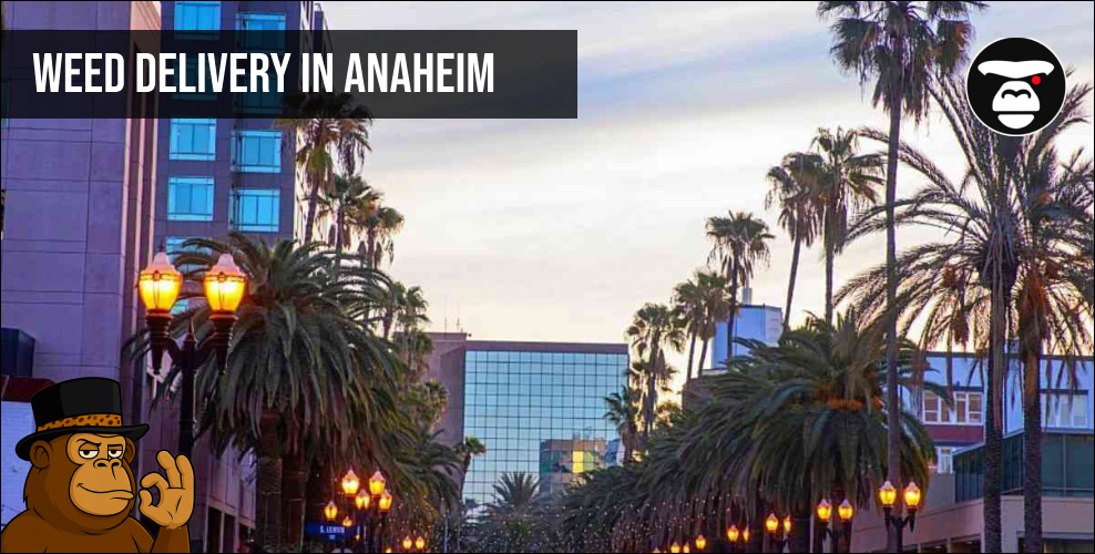 Weed delivery In Anaheim