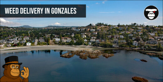 Weed delivery in Gonzales