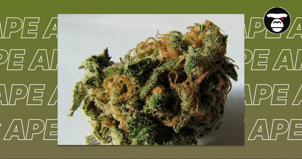 Weed delivery In Long Beach