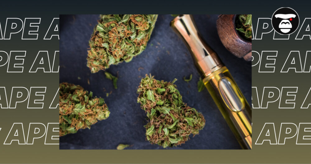 Close-up of dense green cannabis buds next to a gold-tipped vape cartridge on a dark grey surface.