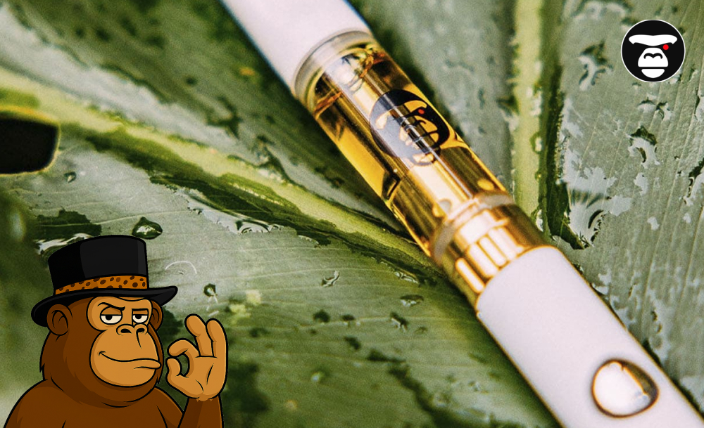 Top 5 Weed Sauce Cartridges in San Diego