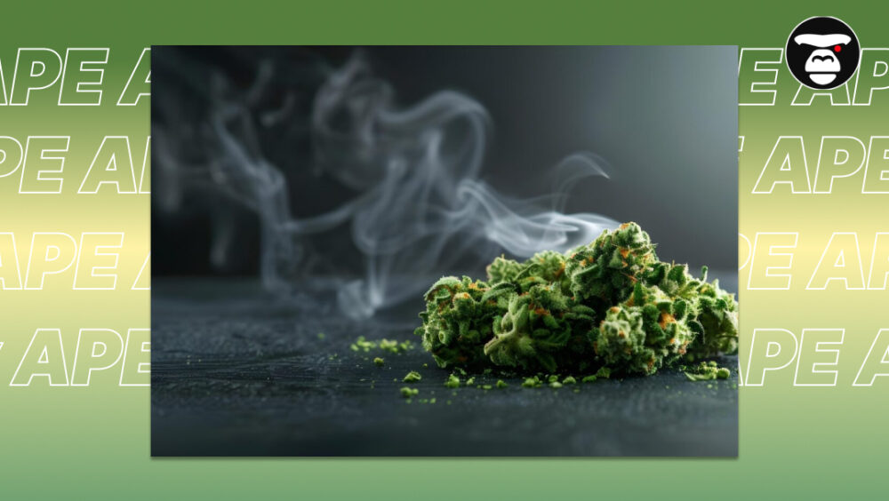 Overhead view of a dense pile of freshly harvested green cannabis leaves.