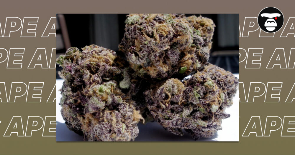 Best Weed Strains In Sacramento