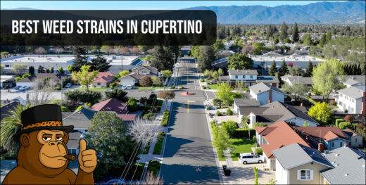 Aerial view of Cupertino residential neighborhood with a cannabis mascot overlay.