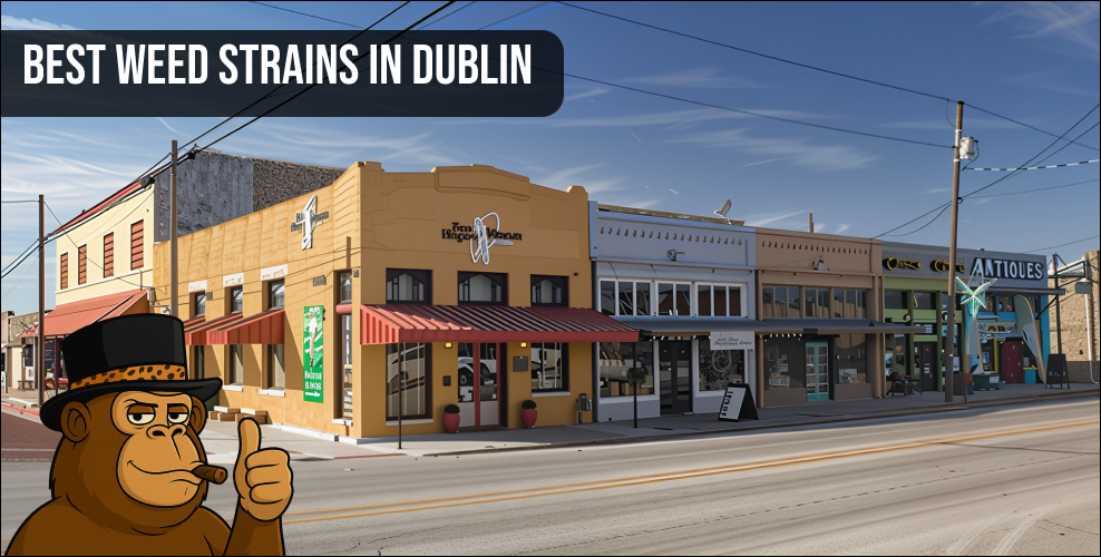 Aerial view of Dublin CA suburban neighborhood with a friendly gorilla mascot.