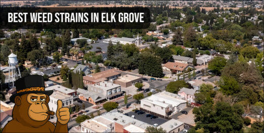 Aerial view of Elk Grove California neighborhood.