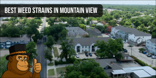 Aerial view of a residential neighborhood for local weed delivery.