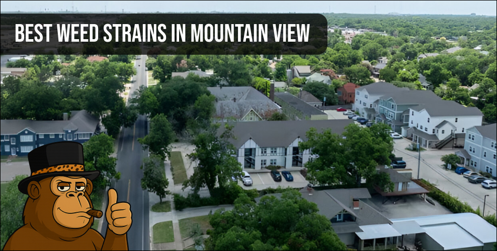 Aerial view of a residential neighborhood for local weed delivery.