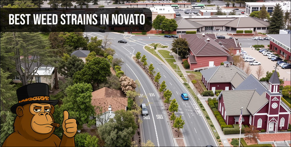 Aerial view of a Novato street with a cool gorilla mascot in a top hat.