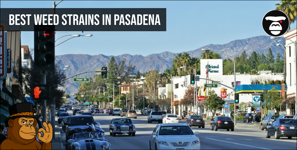 Best Weed Strains In Pasadena
