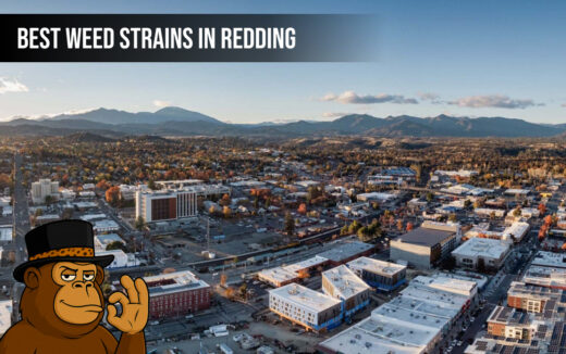 A premium cannabis bud on a localized background with Redding scenery and Blunt Depot logo.