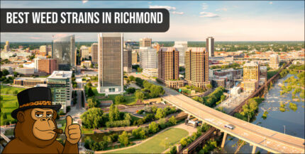 Aerial view of Richmond residential area for weed delivery.