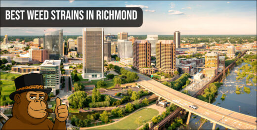 Aerial view of Richmond residential area for weed delivery.