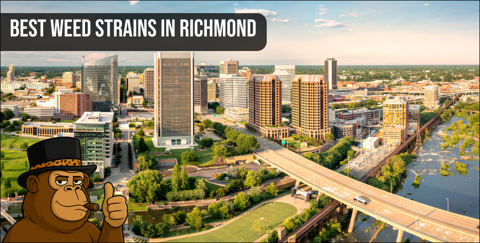 Aerial view of Richmond residential area for weed delivery.