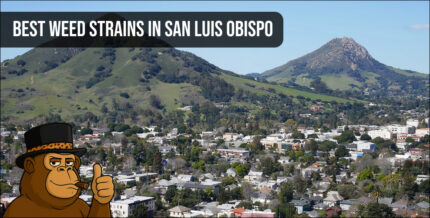 Scenic aerial view of San Luis Obispo hills and town with Ape mascot.