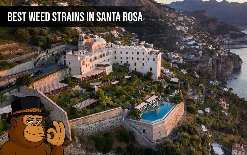 A high-quality cannabis bud on a localized background featuring Santa Rosa scenery and the Blunt Depot logo.