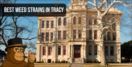 Historic building in Tracy with Best Weed Strains overlay.