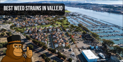 Aerial view of Vallejo, California waterfront and residential area near the marina.