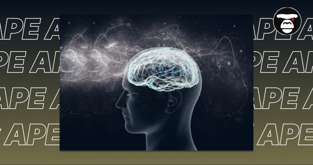 Brain Activity and Cannabinoids