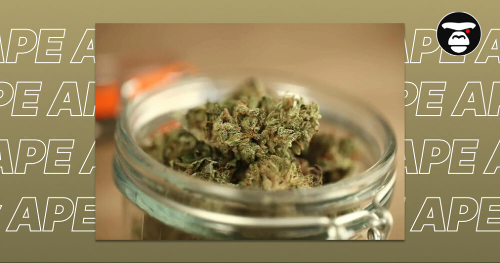 Best Weed Strains In Torrance