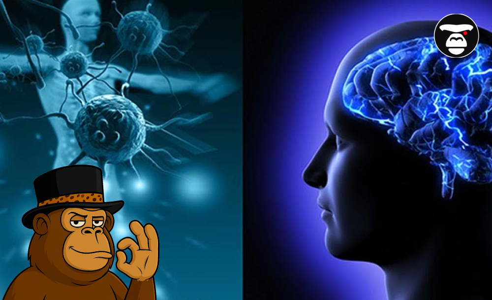 Cannabis and Neurological Health