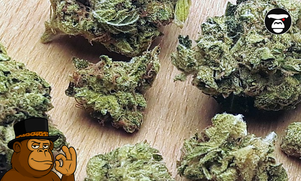 Honey Banana Strain Profile High-quality green cannabis flower buds on a light wooden background.