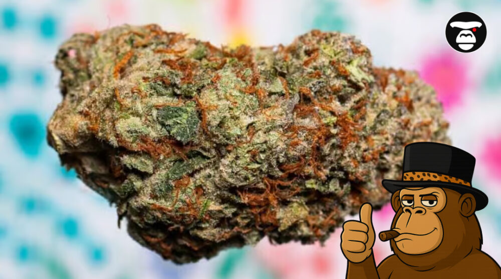 Strains for Appetite Stimulation Strains for Appetite Stimulation