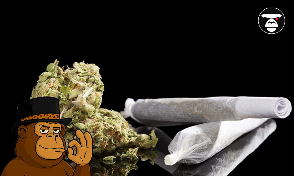 Long-Lasting Strains