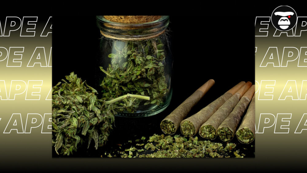 Strains for Appetite Stimulation A glass jar of dried cannabis flowers next to four pre-rolled joints.